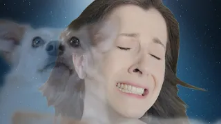 Bemitleidenswert - Bina Bianca