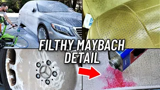 Car Cleaning A Filthy Mercedes Maybach... Interior Detailing & Exterior Car Wash