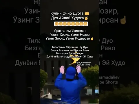 29 октября 2025 г.