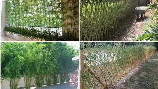IDÉIAS DE CERCA VIVA PARA SUA CASA DE CAMPO!!  Com Bambu e Salgueiro! Realmente incrível!!!