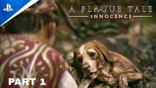 A Plague Tale: Innocence Dog is  Death 😭(PS5) 4K 60FPS HDR Gameplay -(Full Game) #rreclyt
