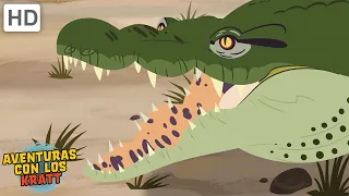 Cocodrilos | Enormes reptiles del Nilo [episodios completos] Aventuras con los Kratt
