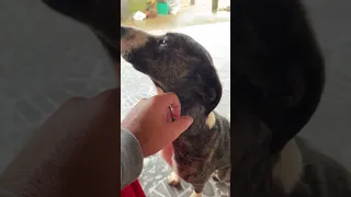 Un día cualquiera en casa..