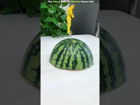 Monkey Food Watermelon 🍉 😨| New Viral Gadgets, Smart Appliances, Kitchen Utensils/ Home Inventions