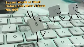 Secret World of Stuff Before and After Videos No. 005