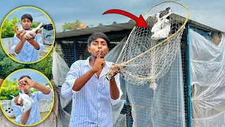 Aaj to Ring wala high flayer kabutar pakda🕊️😍 | Azamgarh ka sabse bada youtuber #itsgullyboy