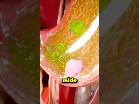 Sakız Efsanesine Sakın İnanma 🍬🍬