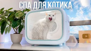КАК ПРАВИЛЬНО МЫТЬ КОТА? УСТРОИЛИ СПА ДЛЯ ПУШИСТОГО🛁