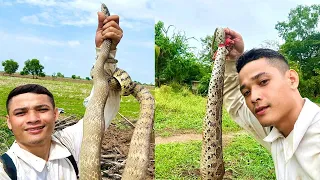 Survival Skills-Brave Expert Find Snake in Jungle - How To Trap Snake