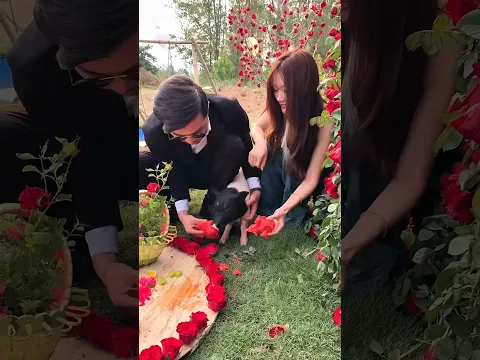 Gulgule Ke Liye Banaya Pyara Sa Ghar 🏠😍❤️