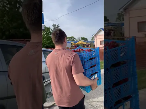 СОБЕРЁМ УРОЖАЙ И ПРОДАДИМ ЕГО НА РЫНКЕ 👍#урожай #жизньзагородом #фермерскиепродукты