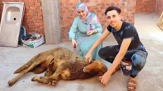 أول أيام عيد الأضحى🐏عشنا أجواء لاول مره في حياتنا😳