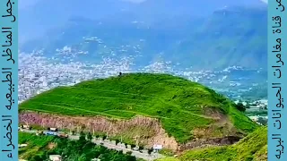 Scenes that evoke happiness