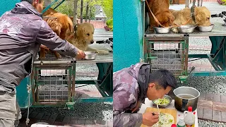 The homeless man prepared a sumptuous dinner for the two stray dogs😋