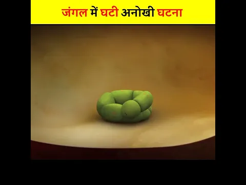 जंगल की अनोखी घटना | कैटरपिलर ने किया घर बर्बाद | #shorts #short
