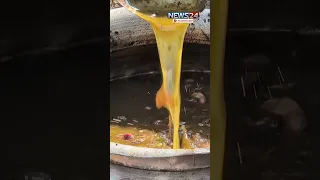 মাছের ফেলে দেয়া নাড়িভুঁড়ি থেকে তেল! Fish Oil | News24