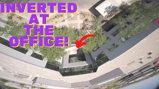 WASP flying at The Office | FPV Freestyle