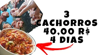 🐕❤️ AN Alimentação NATURAL pra CÃES ❤️🐕 (BARF) #pitbull #bulls #canalpitgameness