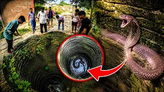 कुआं में कोबरा सांप फुल रेस्क्यू वीडियो!😲🐍 #cobra #rescue 