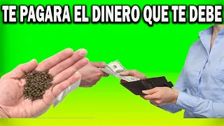 Ponle pimienta en su nombre para que te pague lo que te deben
