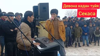 Шахром ва Фируз суруди точики медонен кани духтар гап занен.