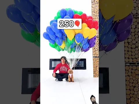 balloon to make a puppy fly challenge?#challenge #funny #shortsfeed#trending #viralshort#stokestwins
