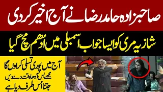 Sahibzada Hamid Raza Vs Shazia Marri | This Speech Will Be Remembered In History |National Assembly