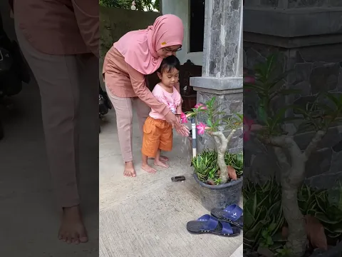 Main tanah lagi ah #funny #shorts