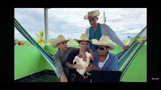 Joao Quiere Una Gallina De Honduras Porque Sera O Es Que A Escuchado Historias Y Leyendas De HN 