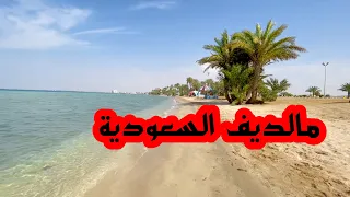 أملج مالديف السعودية من أجمل الشواطئ في المملكة