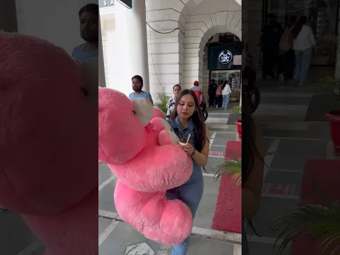 Big teddy bear = ₹ 5,000