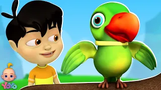 Main Tota Main Tota, मैं तोता मैं तोता, Chanda Mama + Best Preschool Rhymes and Baby Videos