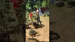 The Best Rastasafari Experience