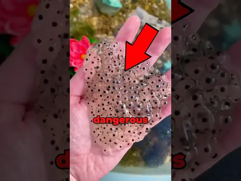 Do NOT Touch This