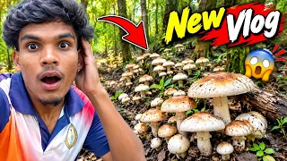 जंगल में निकले मशरूम ढूंढने 😱🍄 | आज क्या मिला? | Village Forest Vlog