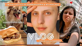 VLOG | DIA CAÓTICO COM UM LULU DA POMERÂNIA NO CABANA BURGER