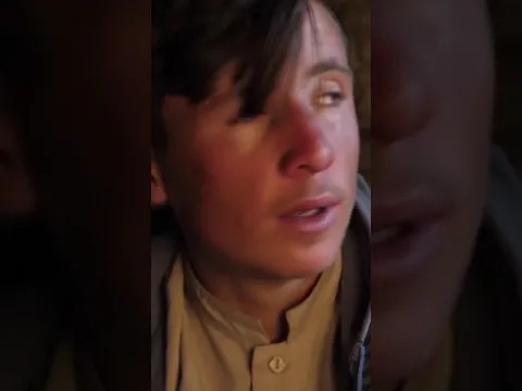 Леопард каждую ночь посещает корову 😱 #shorts