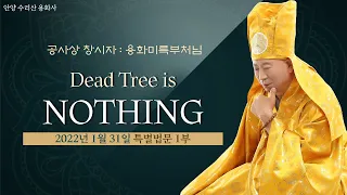 1 Dead Persimmon Trees Do Not Bloom AgainㅣYonghwa Maitreya Buddha Dharma Talk(용화미륵법문  2022-1-31