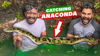 അനക്കൊണ്ടയെ കിണറ്റിൽ ചാടിപ്പിടിച്ചു 😱 Catching Snake 🐍