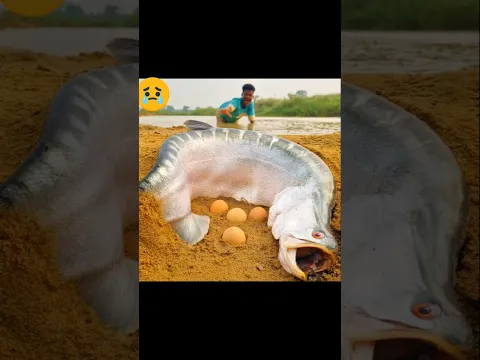 मछली ने लड़के को दिया चुम्मा 😮🥱~mini woodworking art skill / wood /#shorts #shortsfeed #facts #love