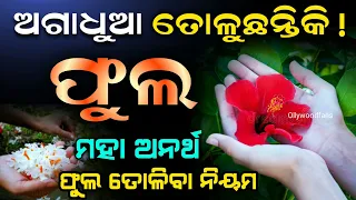( ଫୁଲ ତୋଳିବାର ନିୟମ ) ଅଗାଧୁଆ ଫୁଲ ତୋଲୁଛନ୍ତିକି, ସର୍ବନାଶ ହେବ | Odia Anuchinta#Sadhubani#Vastutipsodia