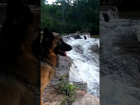 cooking in the waterfall ASMR
