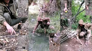 Survival Traps
