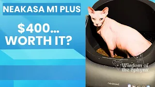I Tested a $400 Self-Cleaning Litter Box… Worth It?