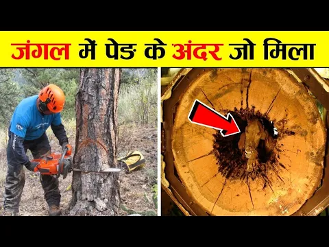 जंगल में पेड़ के😱 अंदर जो मिला🤯 | #shorts