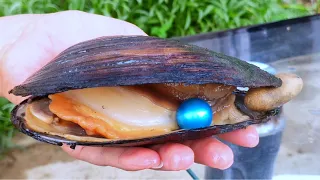 Blue freshwater pearls! I have never seen such perfect pearls