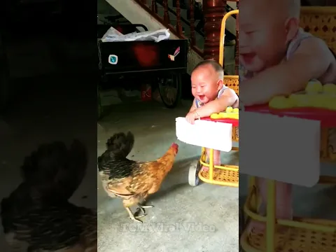 Cute🐓🐓🐓