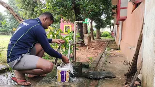 Rat's snake trapped into the fish net 'remove fish net and giving first aid. rescued by poviarasan