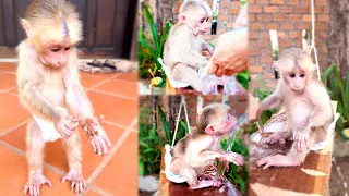 Icy monkey get dirty mud on her hand and Dad call her to wash hand and wearing clothes for her!
