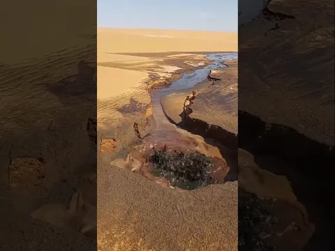 This is how oil is extracted in Saudi Arabia #shortsvideo